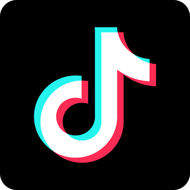 TikTok Safety